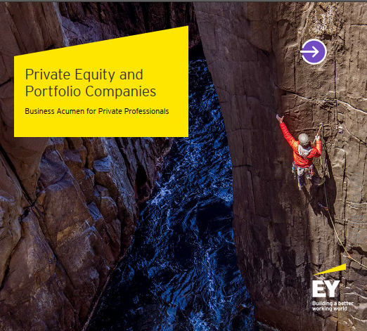 Private Equity and Portfolio Companies learning material